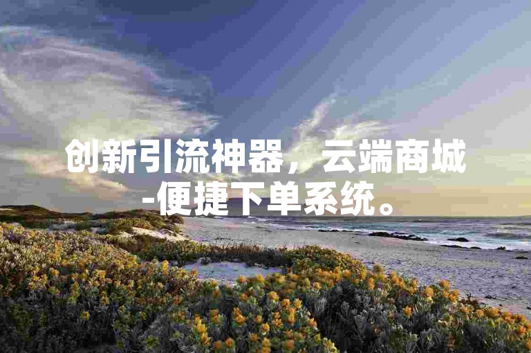 创新引流神器，云端商城-便捷下单系统。