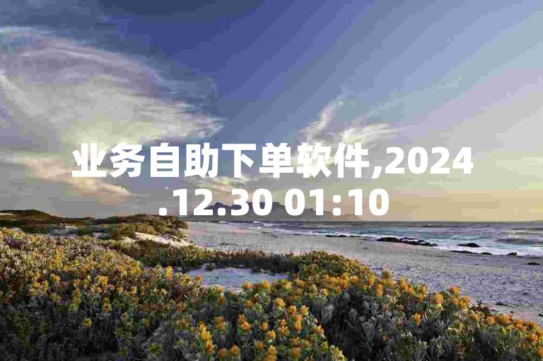 业务自助下单软件,2024.12.30 01:10