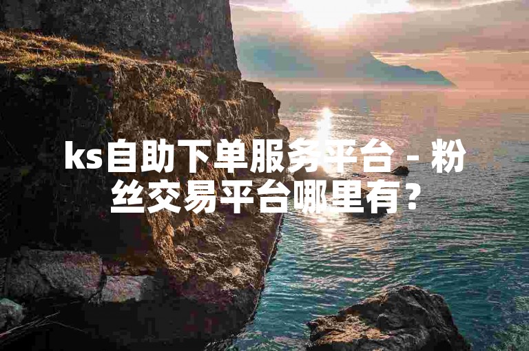 ks自助下单服务平台 - 粉丝交易平台哪里有？