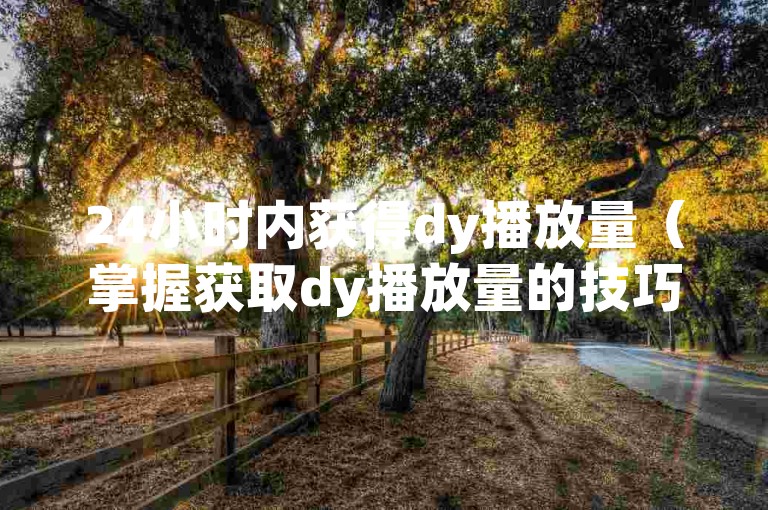 24小时内获得dy播放量（掌握获取dy播放量的技巧，24小时到账）