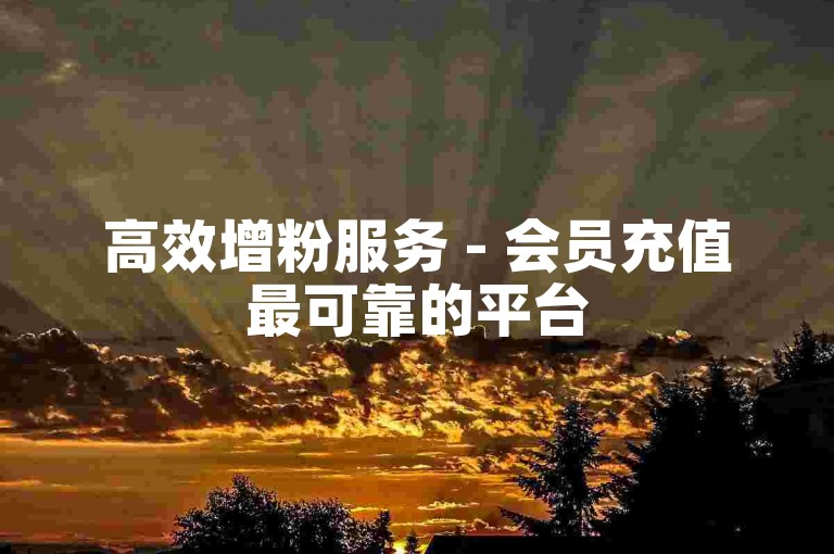 高效增粉服务 - 会员充值最可靠的平台