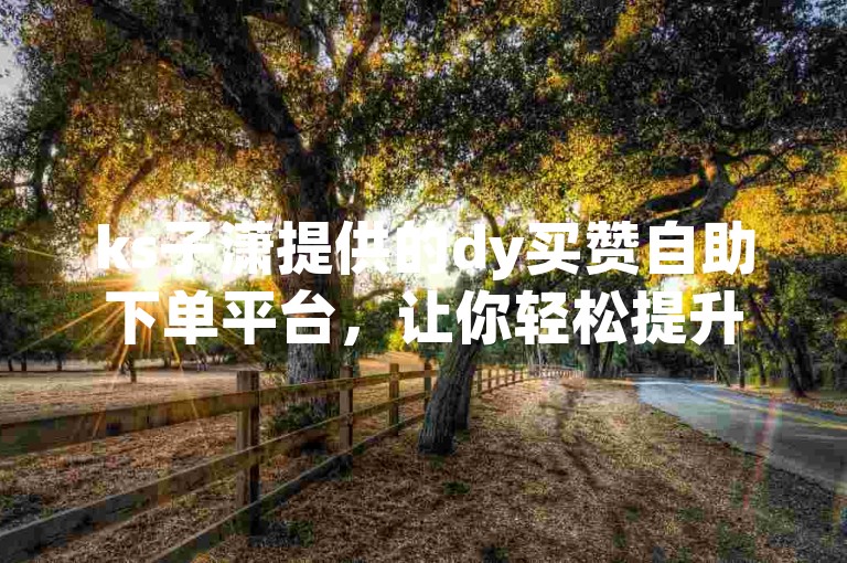 ks子潇提供的dy买赞自助下单平台，让你轻松提升社交媒体影响力。