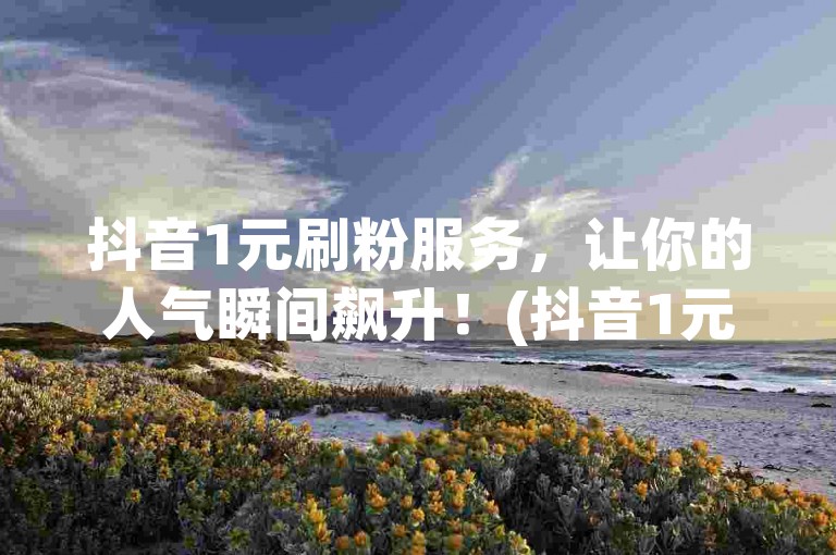 抖音1元刷粉服务，让你的人气瞬间飙升！(抖音1元快速增粉秘籍)