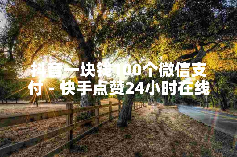抖音一块钱100个微信支付 - 快手点赞24小时在线超低价