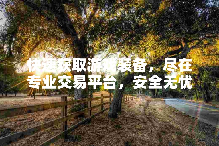 快速获取游戏装备，尽在专业交易平台，安全无忧，立即体验！