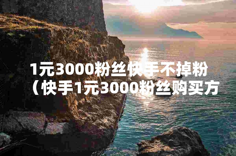 1元3000粉丝快手不掉粉（快手1元3000粉丝购买方法分享），通过一元钱就能获得3000个稳定的快手粉丝，这种方法确保了粉丝数量不会减少。