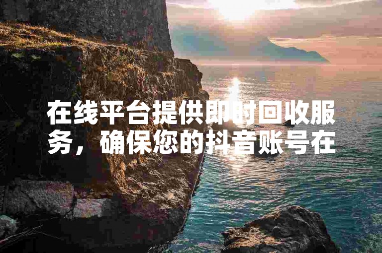 在线平台提供即时回收服务，确保您的抖音账号在24小时内得到妥善处理。