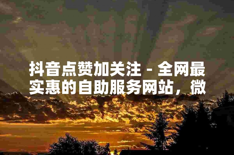 抖音点赞加关注 - 全网最实惠的自助服务网站，微信联系。