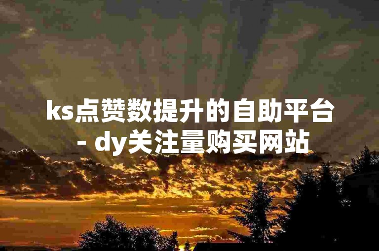 ks点赞数提升的自助平台 - dy关注量购买网站