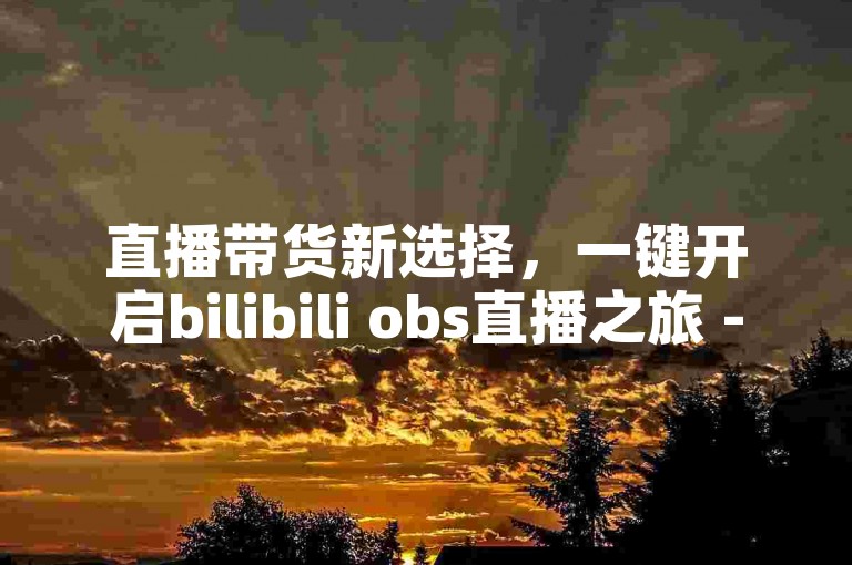 直播带货新选择，一键开启bilibili obs直播之旅 - 超值视频会员充值优惠，尽在低价说说赞自助下单平台。