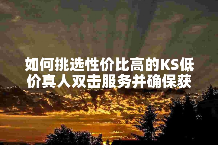 如何挑选性价比高的KS低价真人双击服务并确保获得最佳交易？