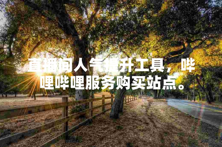 直播间人气提升工具，哔哩哔哩服务购买站点。