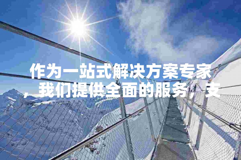 作为一站式解决方案专家，我们提供全面的服务，支持客户轻松在线提交订单。