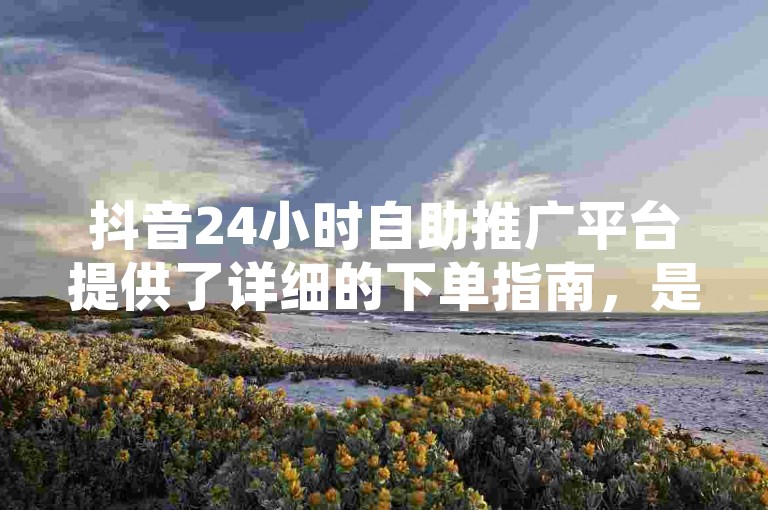 抖音24小时自助推广平台提供了详细的下单指南，是新人进行有效推广的必备工具。