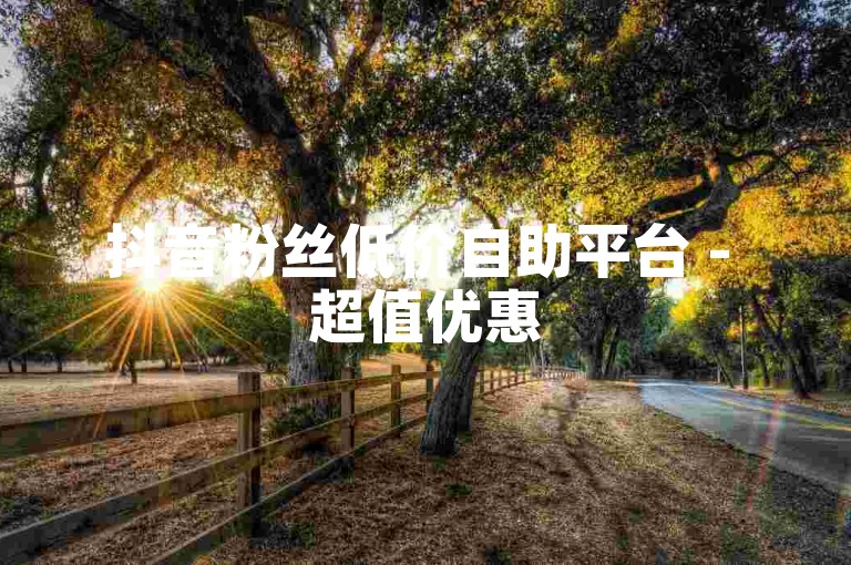 抖音粉丝低价自助平台 - 超值优惠