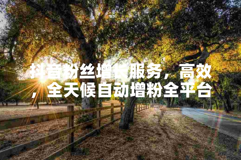 抖音粉丝增长服务，高效，全天候自动增粉全平台最优惠。