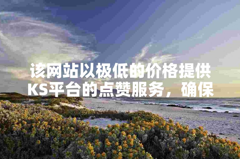 该网站以极低的价格提供KS平台的点赞服务，确保快速双击秒赞。