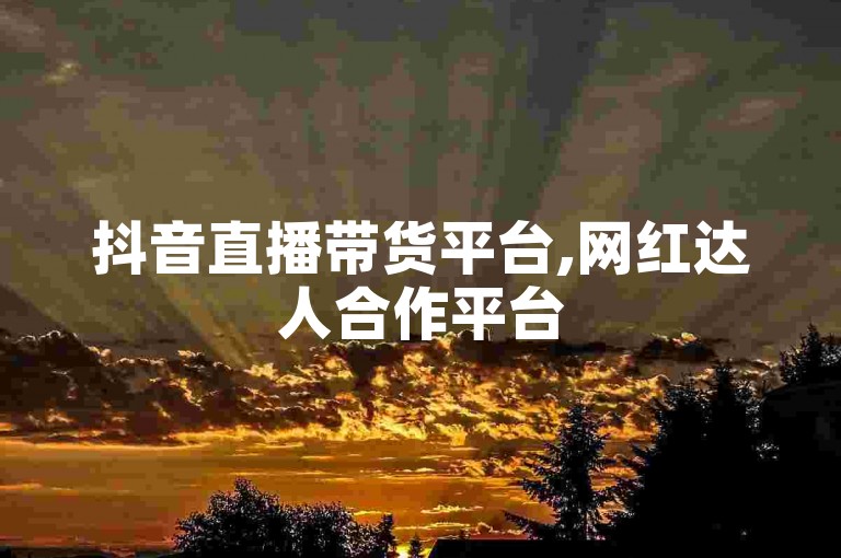 抖音直播带货平台,网红达人合作平台