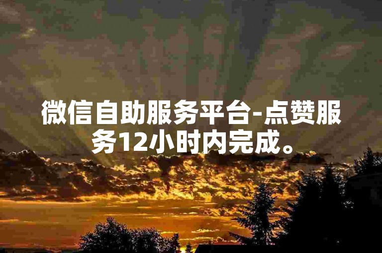 微信自助服务平台-点赞服务12小时内完成。