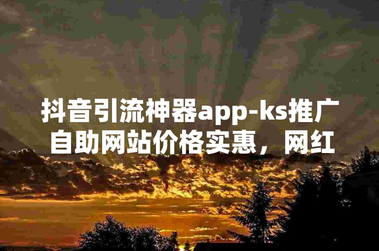抖音引流神器app-ks推广自助网站价格实惠，网红商城轻松在线下单。