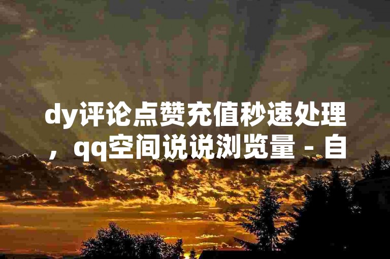 dy评论点赞充值秒速处理，qq空间说说浏览量 - 自助商城 - 卡密即时发卡平台。