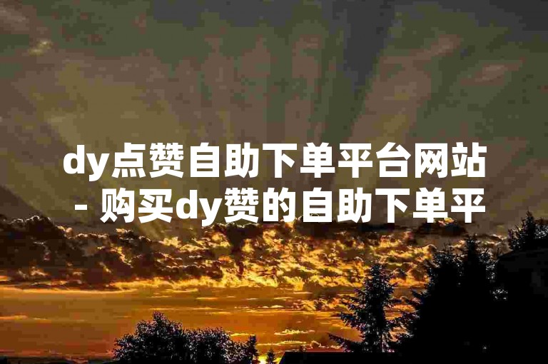 dy点赞自助下单平台网站 - 购买dy赞的自助下单平台秒到网站