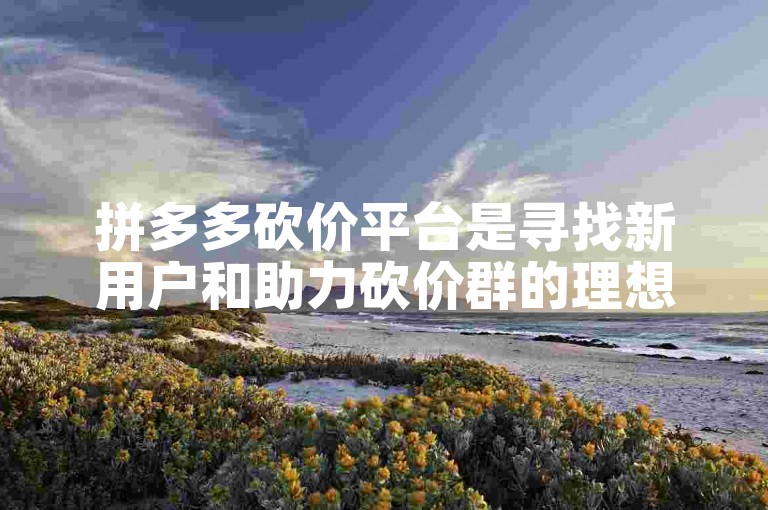 拼多多砍价平台是寻找新用户和助力砍价群的理想之地。