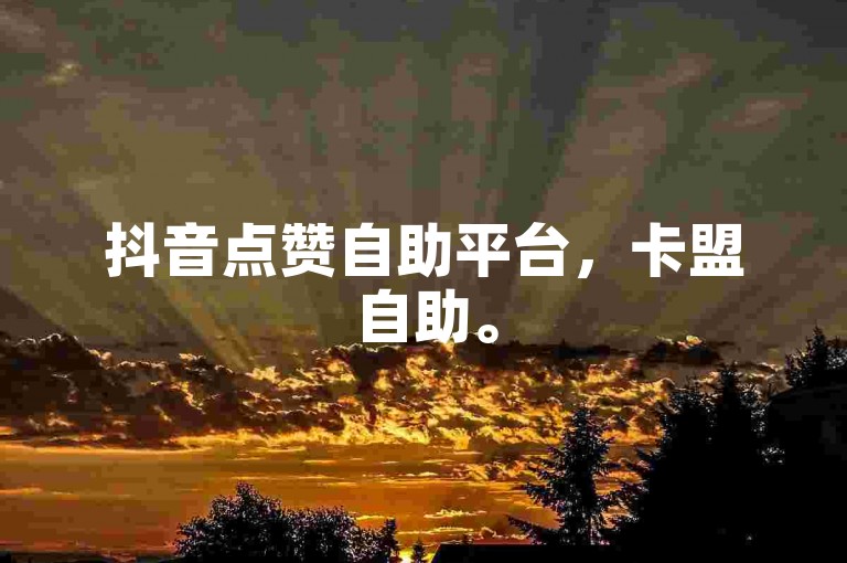 抖音点赞自助平台，卡盟自助。