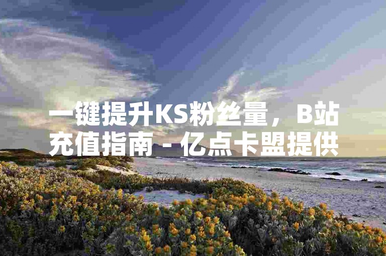 一键提升KS粉丝量，B站充值指南 - 亿点卡盟提供 - 抖音正能量视频精选集。