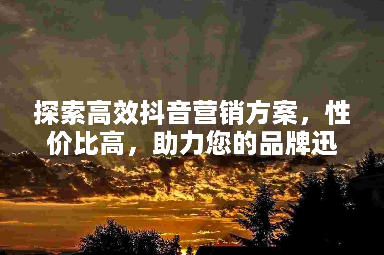 探索高效抖音营销方案，性价比高，助力您的品牌迅速走红网络。