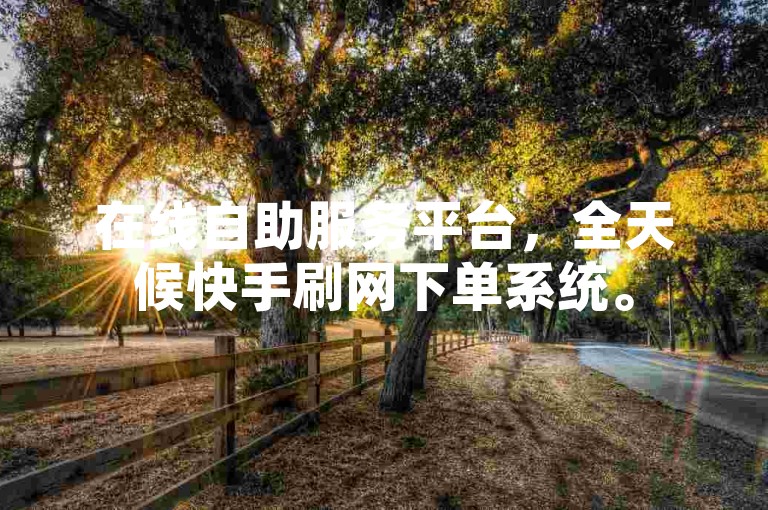 在线自助服务平台，全天候快手刷网下单系统。