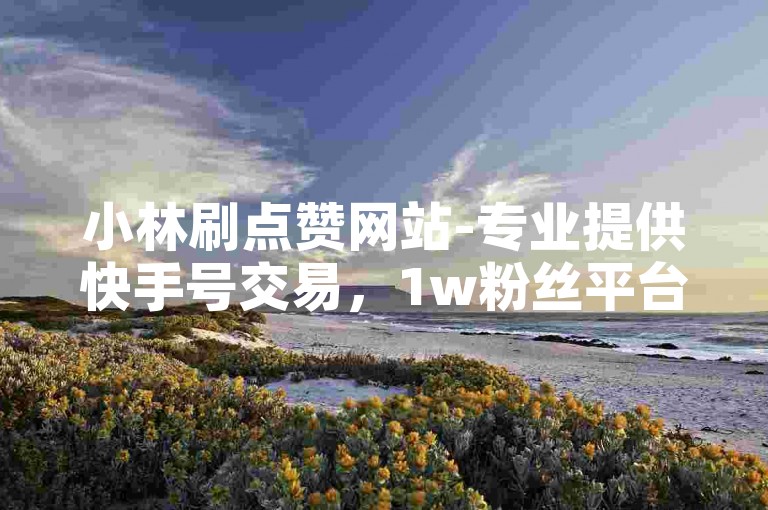 小林刷点赞网站-专业提供快手号交易，1w粉丝平台安全可靠。
