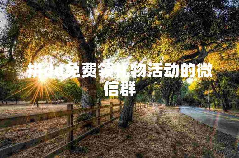 拼dd免费领礼物活动的微信群