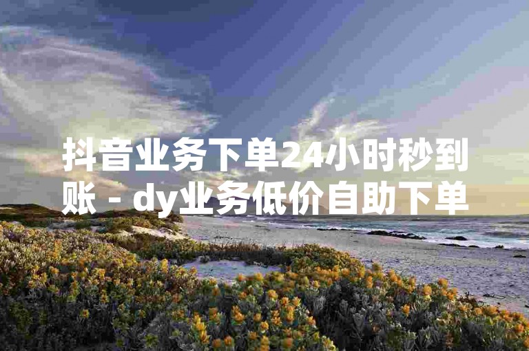 抖音业务下单24小时秒到账 - dy业务低价自助下单软件，让您轻松享受高效便捷的服务体验。
