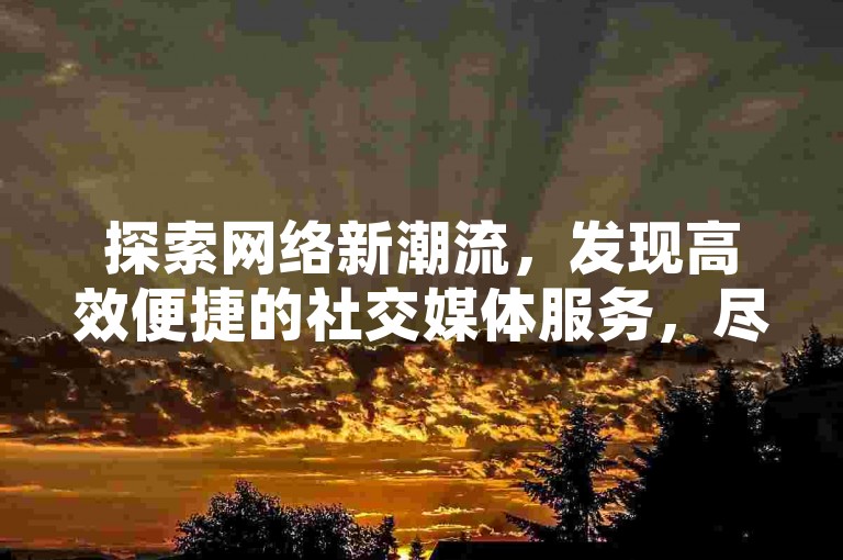 探索网络新潮流，发现高效便捷的社交媒体服务，尽在一站式点赞自助购买平台，为您的快手评论区增添人气。
