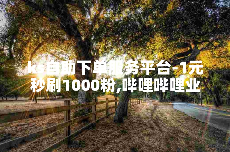 ks自助下单服务平台-1元秒刷1000粉,哔哩哔哩业务自助平台