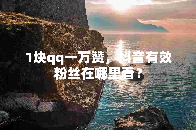 1块qq一万赞，抖音有效粉丝在哪里看？