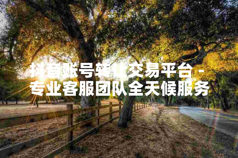 抖音账号转让交易平台 - 专业客服团队全天候服务