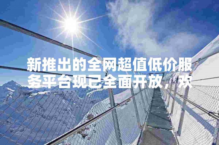 新推出的全网超值低价服务平台现已全面开放，欢迎体验最优惠的业务交易。