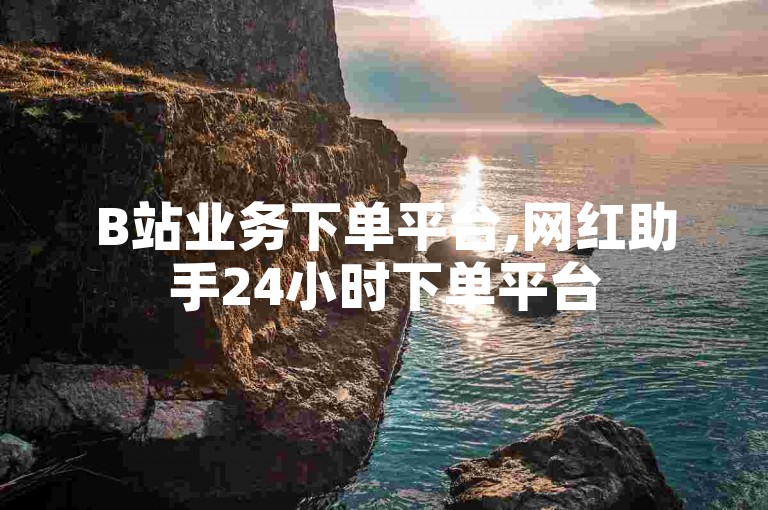 B站业务下单平台,网红助手24小时下单平台