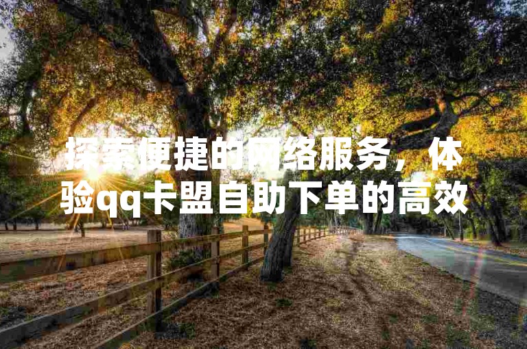 探索便捷的网络服务，体验qq卡盟自助下单的高效与安全。