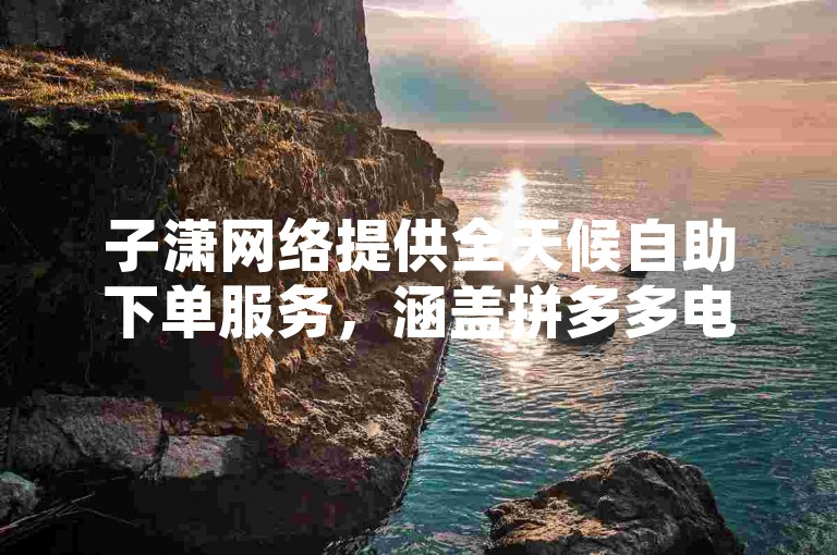 子潇网络提供全天候自助下单服务，涵盖拼多多电商及一元购500赞等业务。