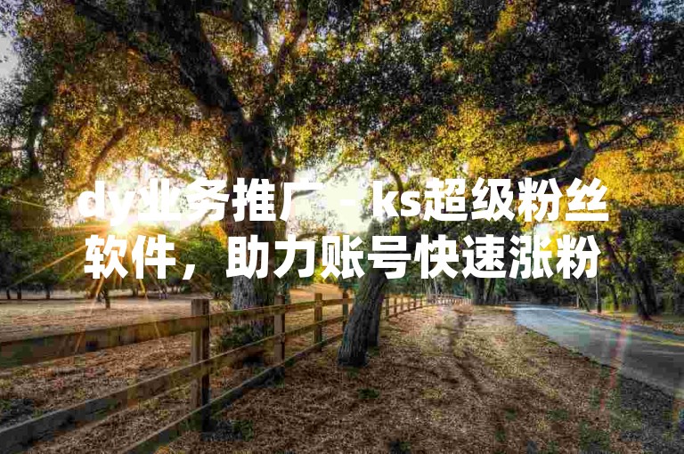 dy业务推广 - ks超级粉丝软件，助力账号快速涨粉，提升影响力。