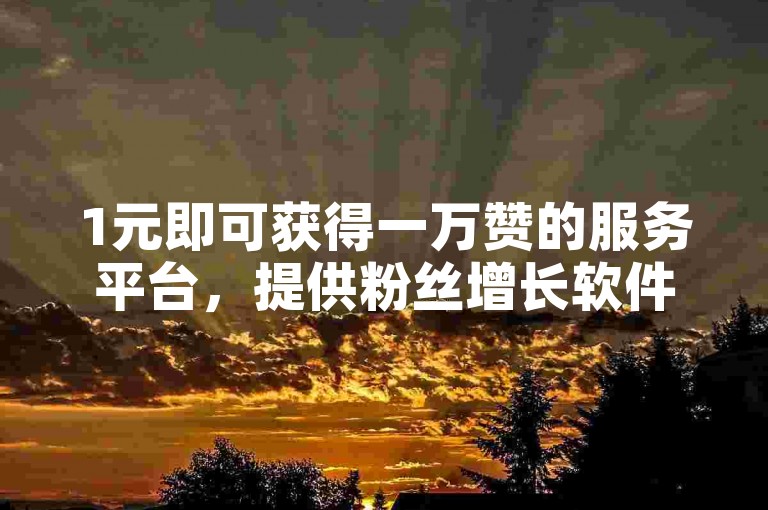 1元即可获得一万赞的服务平台，提供粉丝增长软件和24小时自助下单的卡盟平台。