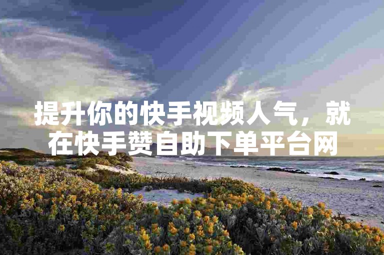 提升你的快手视频人气，就在快手赞自助下单平台网站，轻松获得更多点赞。