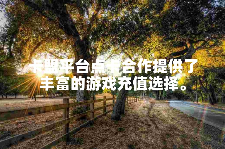 卡盟平台点卡合作提供了丰富的游戏充值选择。