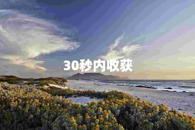30秒内收获5000粉丝（快手业务全天候自助下单系统）