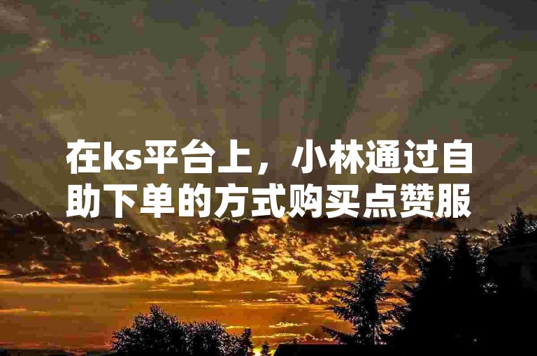 在ks平台上，小林通过自助下单的方式购买点赞服务，而dy则提供了一个互赞的平台。