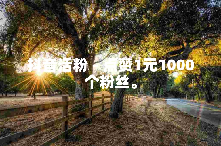 抖音活粉 - 点赞1元1000个粉丝。