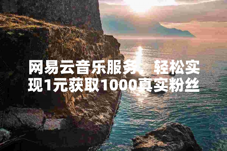 网易云音乐服务，轻松实现1元获取1000真实粉丝的自助下单体验。